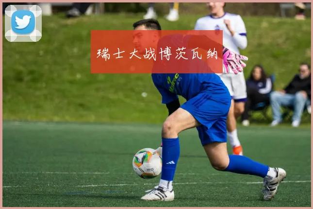 瑞士大战博茨瓦纳
