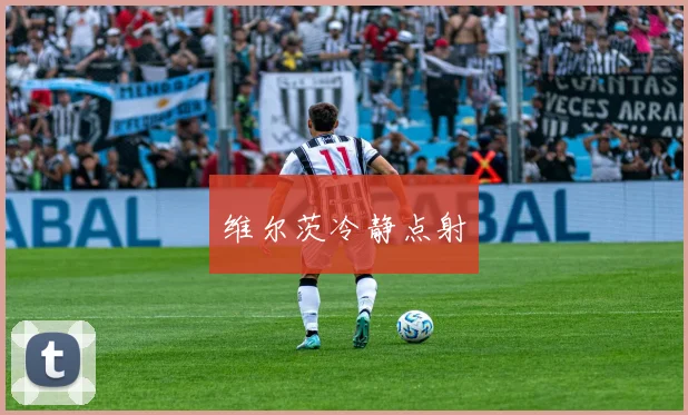 维尔茨冷静点射