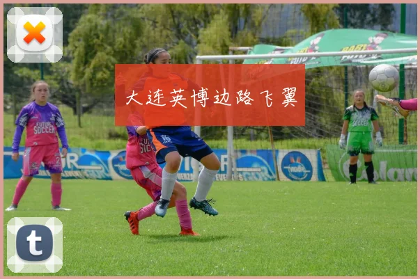 大连英博边路飞翼