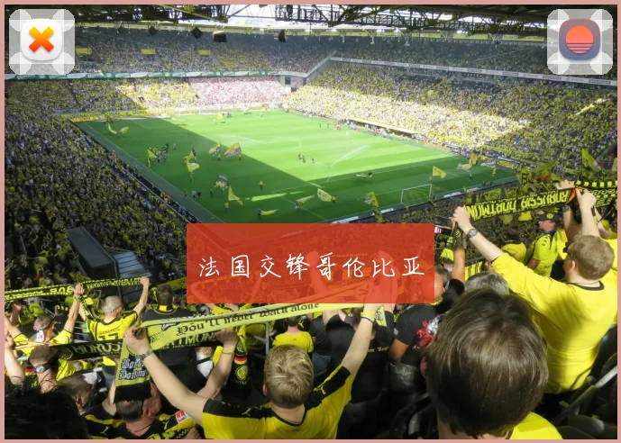 法国交锋哥伦比亚