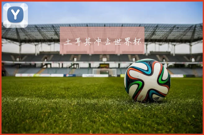 土耳其冲击世界杯