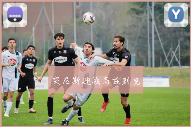 突尼斯迎战乌兹别克