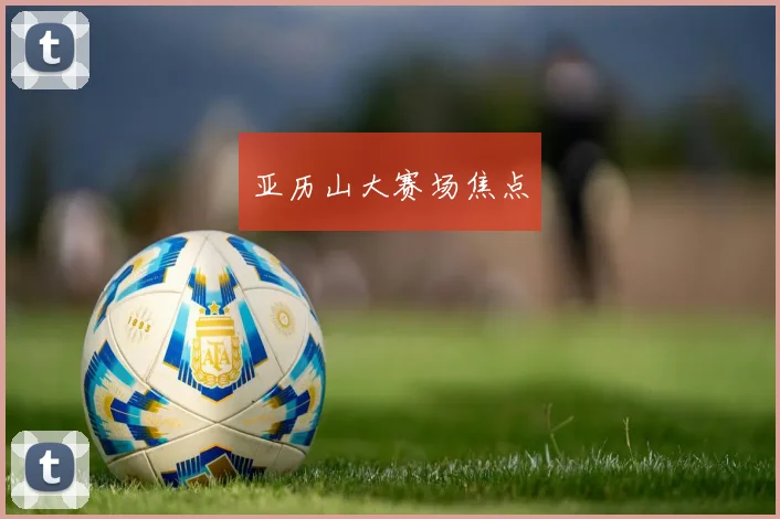 亚历山大赛场焦点