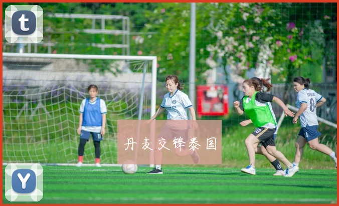丹麦交锋泰国