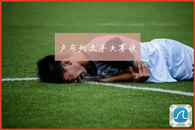 卢布列夫半决赛夜