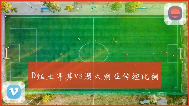 D组土耳其vs澳大利亚传控比例