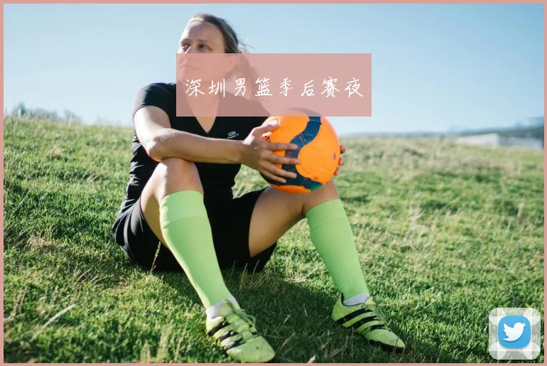 深圳男篮季后赛夜