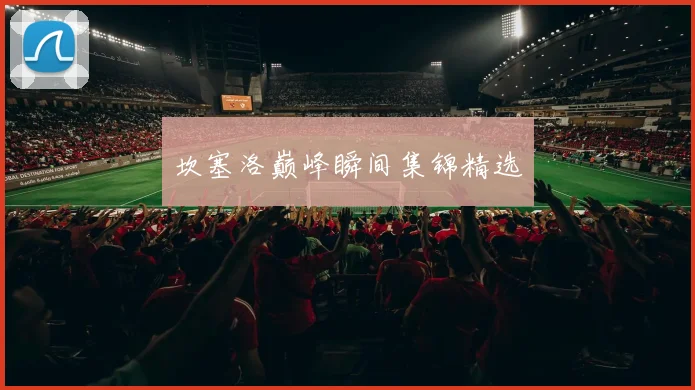 坎塞洛巅峰瞬间集锦精选
