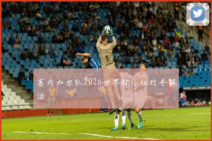 塞内加尔队2026世界杯小组对手解读