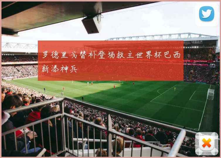 罗德里戈替补登场救主世界杯巴西新添神兵