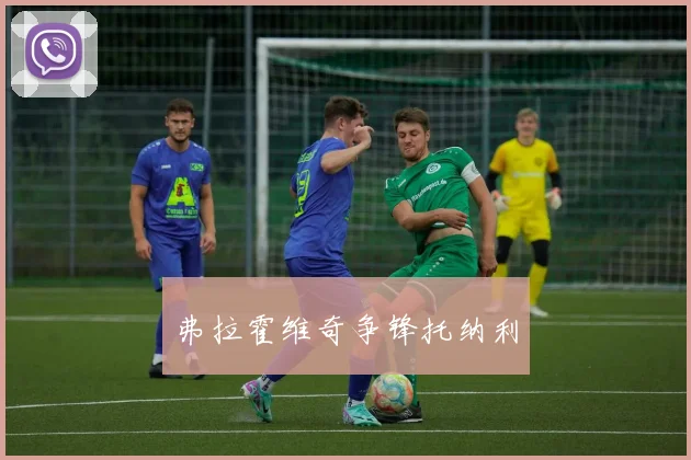 弗拉霍维奇争锋托纳利