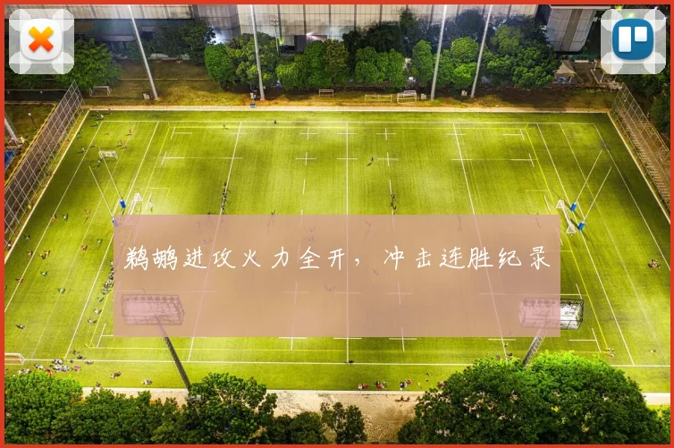 鹈鹕进攻火力全开，冲击连胜纪录