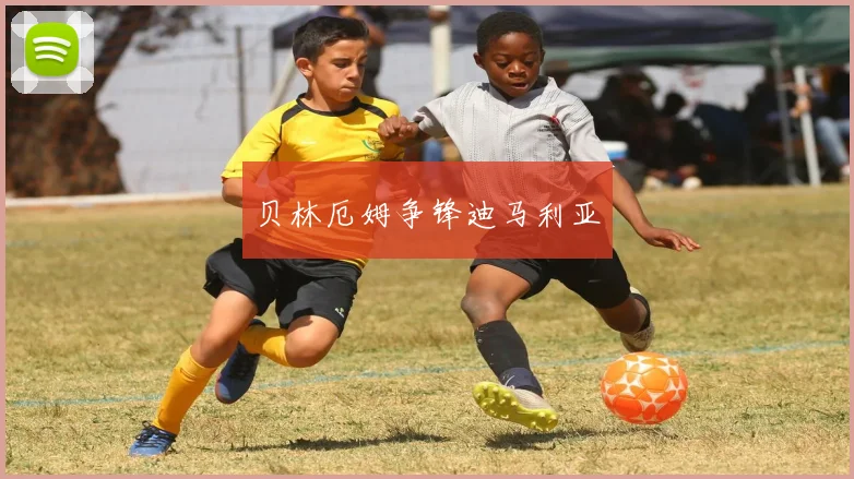 贝林厄姆争锋迪马利亚