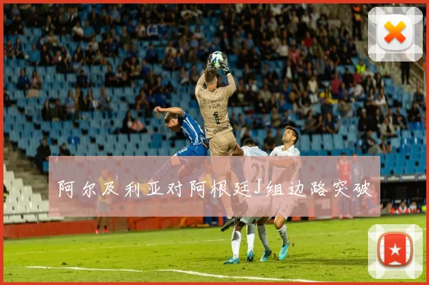 阿尔及利亚对阿根廷J组边路突破
