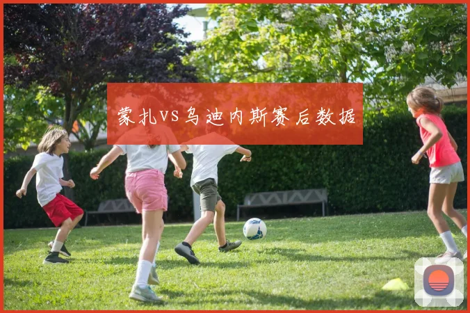 蒙扎vs乌迪内斯赛后数据