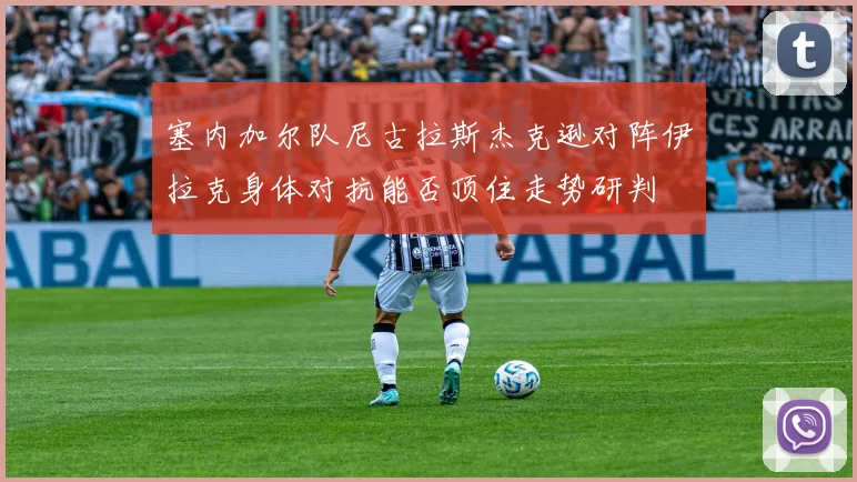 塞内加尔队尼古拉斯杰克逊对阵伊拉克身体对抗能否顶住走势研判