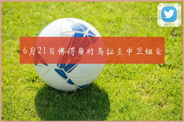 6月21日佛得角对乌拉圭中卫组合